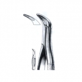 Extracting Forceps American Pattern